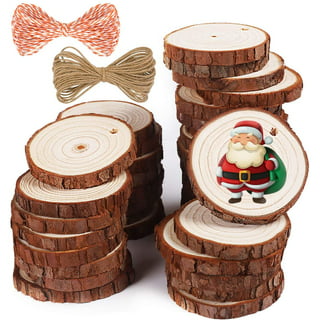 Rustic Natural Wood Slices 20Pcs 3.1-3.5 inches Large Unfinished Wood Kit  with Small Eye Rings Wood Rounds Coaster Wooden Circles for Arts Christmas
