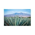 thumbnail image 3 of Pack de 2 Tequila 7 Leguas Blanco 1 L, 3 of 3