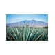 thumbnail image 3 of Pack de 6 Tequila 7 Leguas Blanco 1 L, 3 of 3
