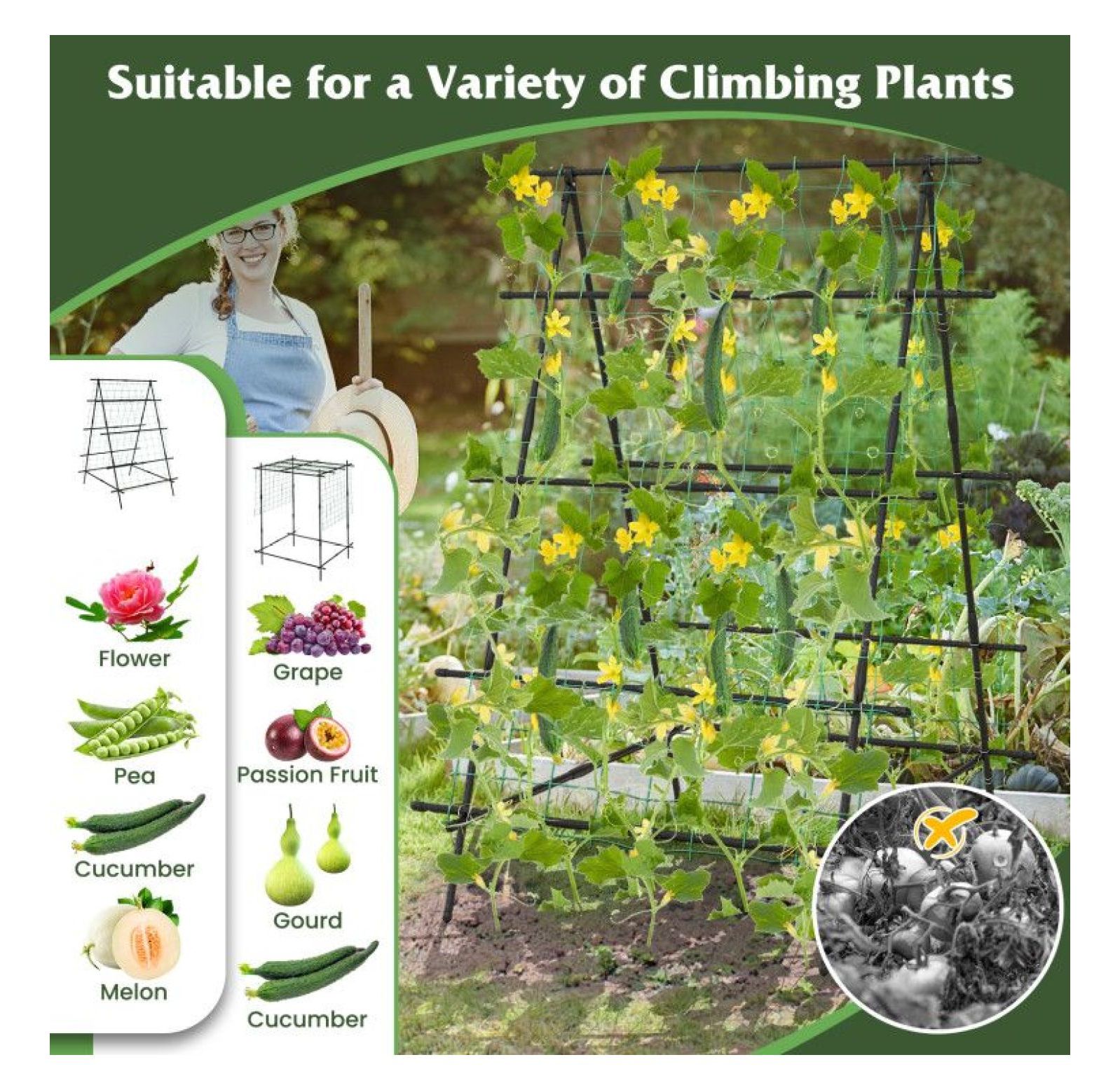 Cucumber Trellis A-Frame, Garden Plant Support with Netting - Climbing Plants, Vegetables & Flowers - Outdoor Durable Metal Trellis