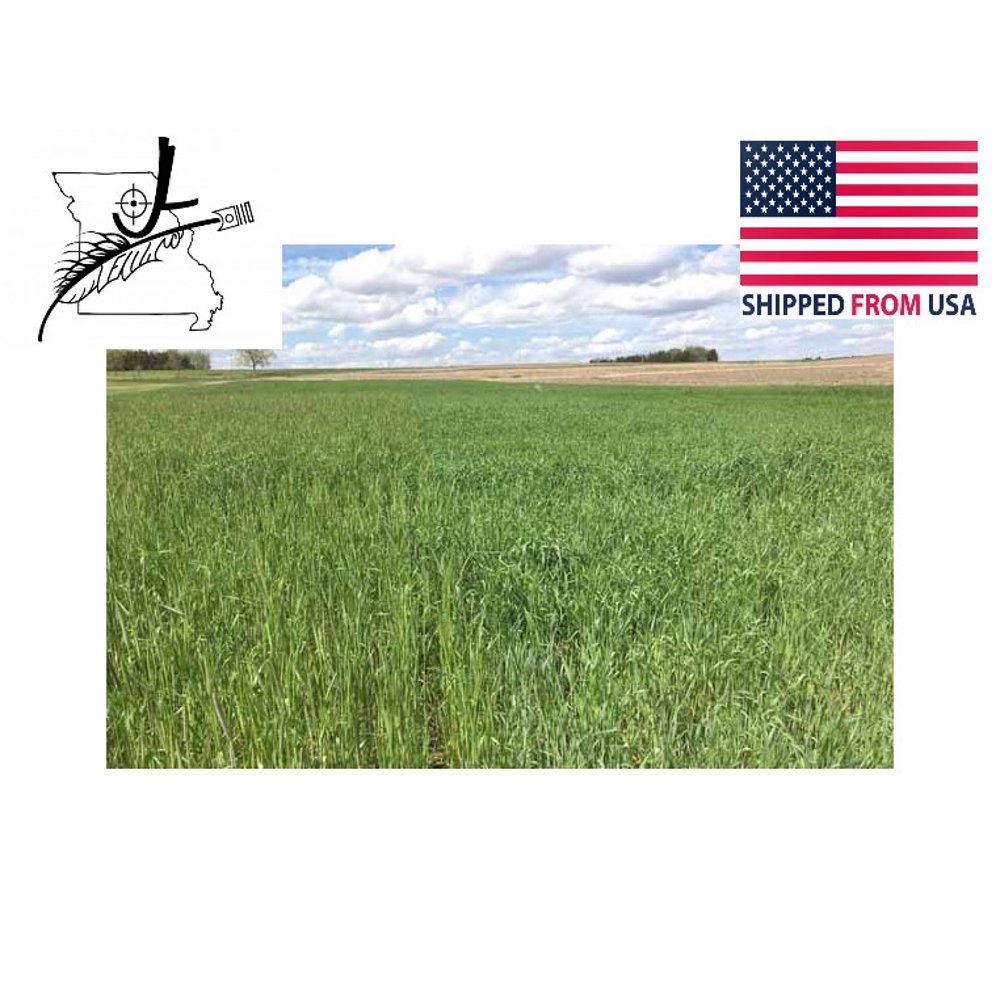 1 lb Wrens Abruzzi Cereal Rye Seed NonGMO Grain Deer Food Plot Winter