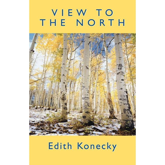 View to the North (Paperback)