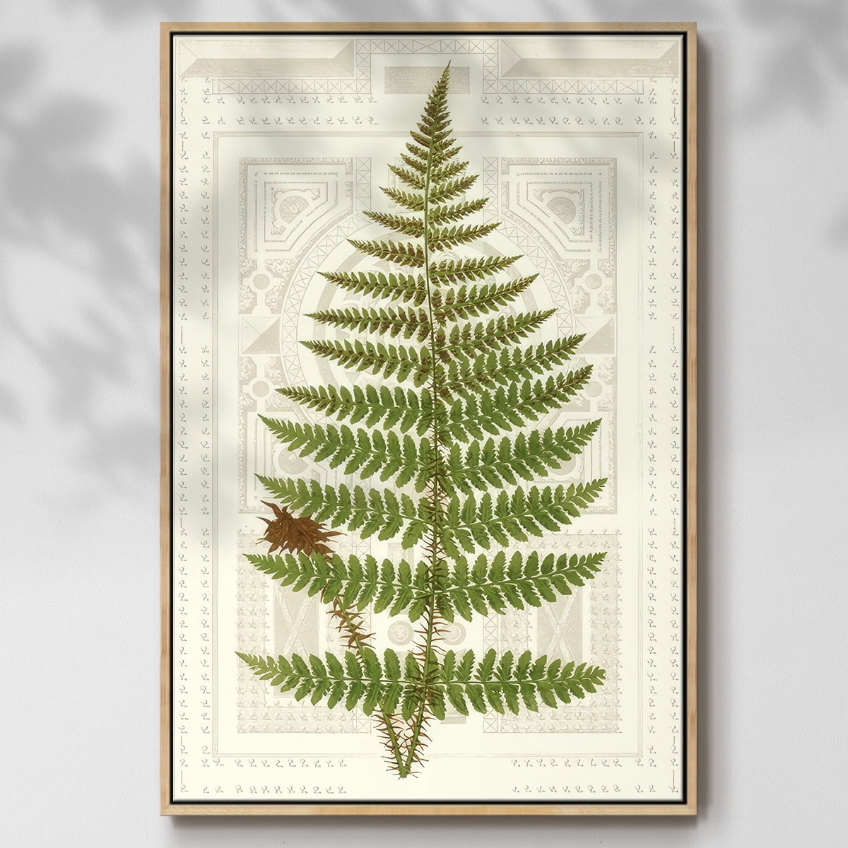 Garden Ferns V - Framed Gallery Wrapped Holiday Canvas - 17 x 25 - Natural Wood Frame