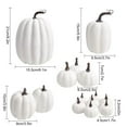 thumbnail image 3 of DAMAI 14 Pieces Artificial Pumpkins,Foam Fall Pumpkins Decor Set,ssorted Large Faux Harvest Pumpkins for Autumn Thanksgiving Halloween Seasonal Holiday Decor Decoration (White), 3 of 6