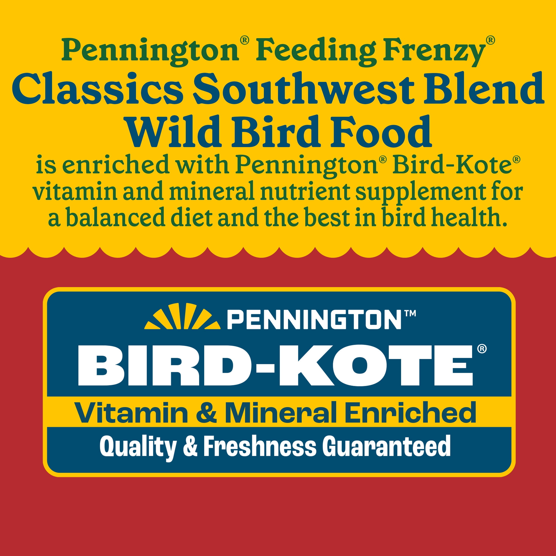 Pennington Southwest Blend Wild Bird Seed for Outside Feeders, 10 lb., 1 Pack, Dry Bird Food