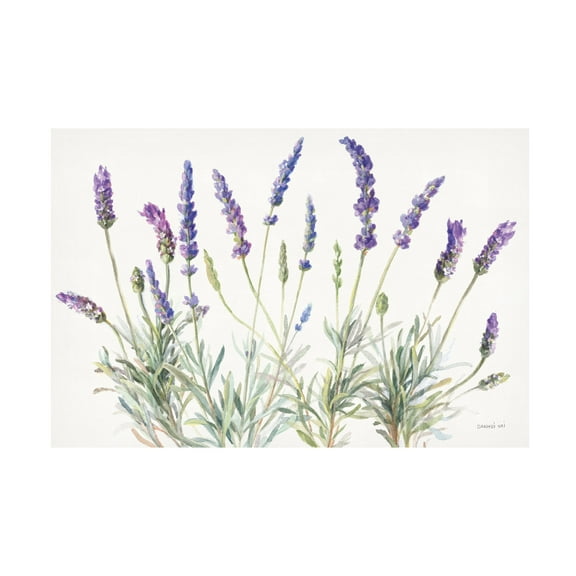 Danhui Nai 'Floursack Lavender V on Linen' Canvas Art