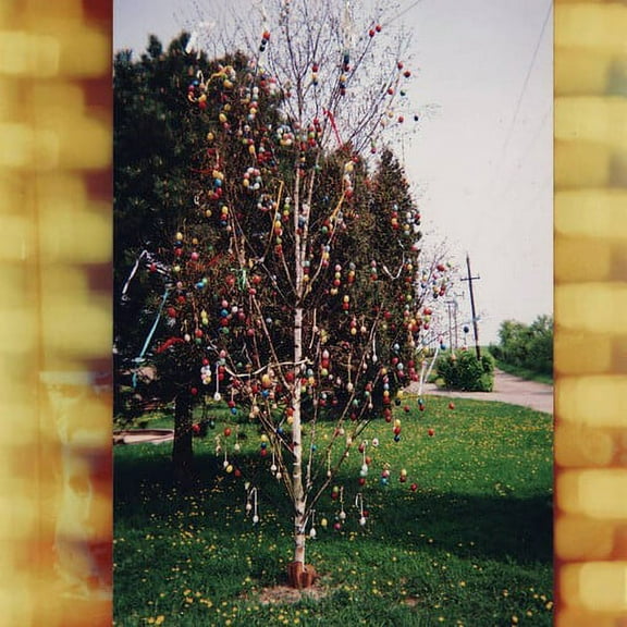 Kraus - A Golden Brain - Vinyl