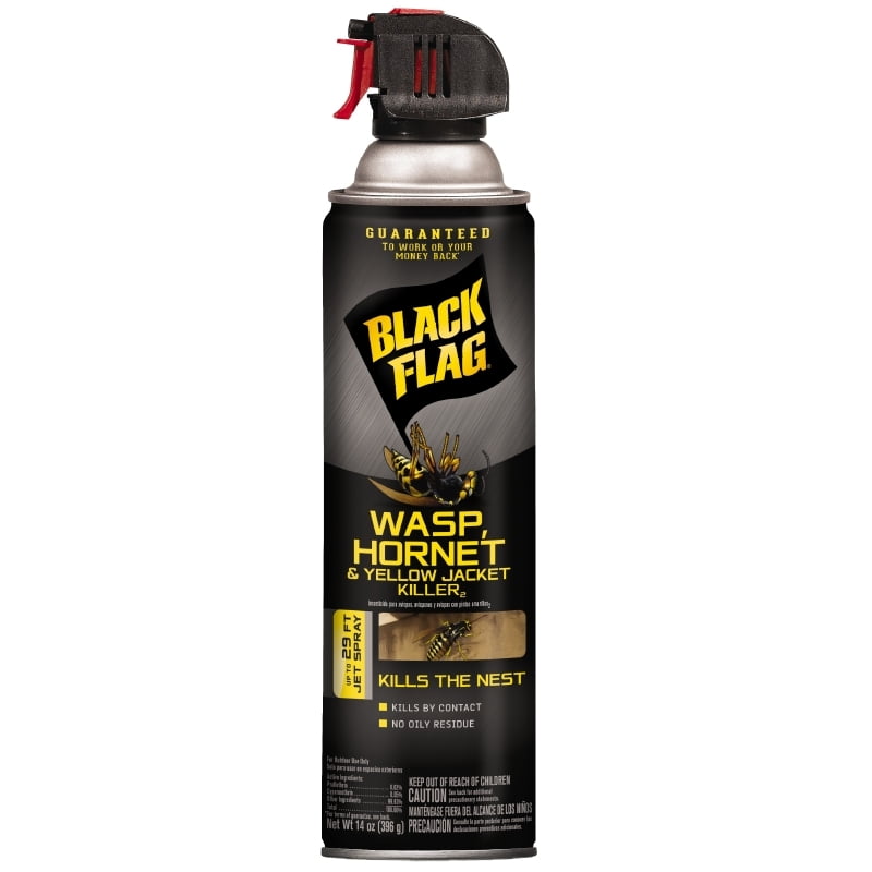 Black Flag Wasp, & Yellow Jacket Insect Killer, 14 Ounces