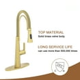 thumbnail image 4 of Boyel Living Kitchen Sink Faucet in Brushed Gold, 2-Mode Sprayer 1.8 gpm Spring Kitchen Sink Faucet with Detachable Towel Rack, Kitchen Faucet for Kitchen Sink, 4 of 8