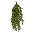 thumbnail image 1 of Vickerman L190207 Cyprès Vert de 28 Po, 1 of 1