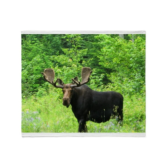 CafePress - Greenville Moose Throw Blanket - Soft Fleece Throw Blanket, 50"x60" for All Ages