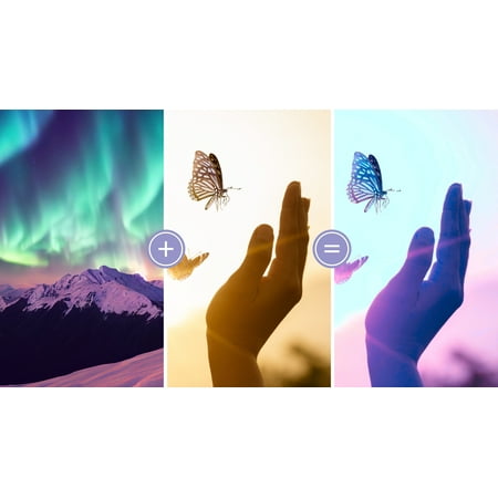 Adobe - Photoshop Elements 2024 & Premiere Elements 2024 Student Teacher Edition - Windows [Digital]