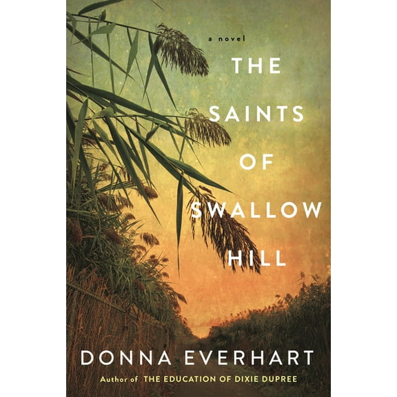 Saints of Swallow Hill: A Fascinating Depression Era Historical Novel