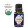 US Organic Spearmint Essential Oil, 100% Pure Certified USDA Organic