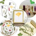 thumbnail image 4 of Hojas y flores secas variadas para decoraciones artesanales prensadas Nature's Art, 4 of 6