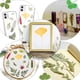 thumbnail image 4 of Espécimen de planta real, flores secas, hojas secas naturales surtidas para hojas prensadas, decoración artesanal, 4 of 6