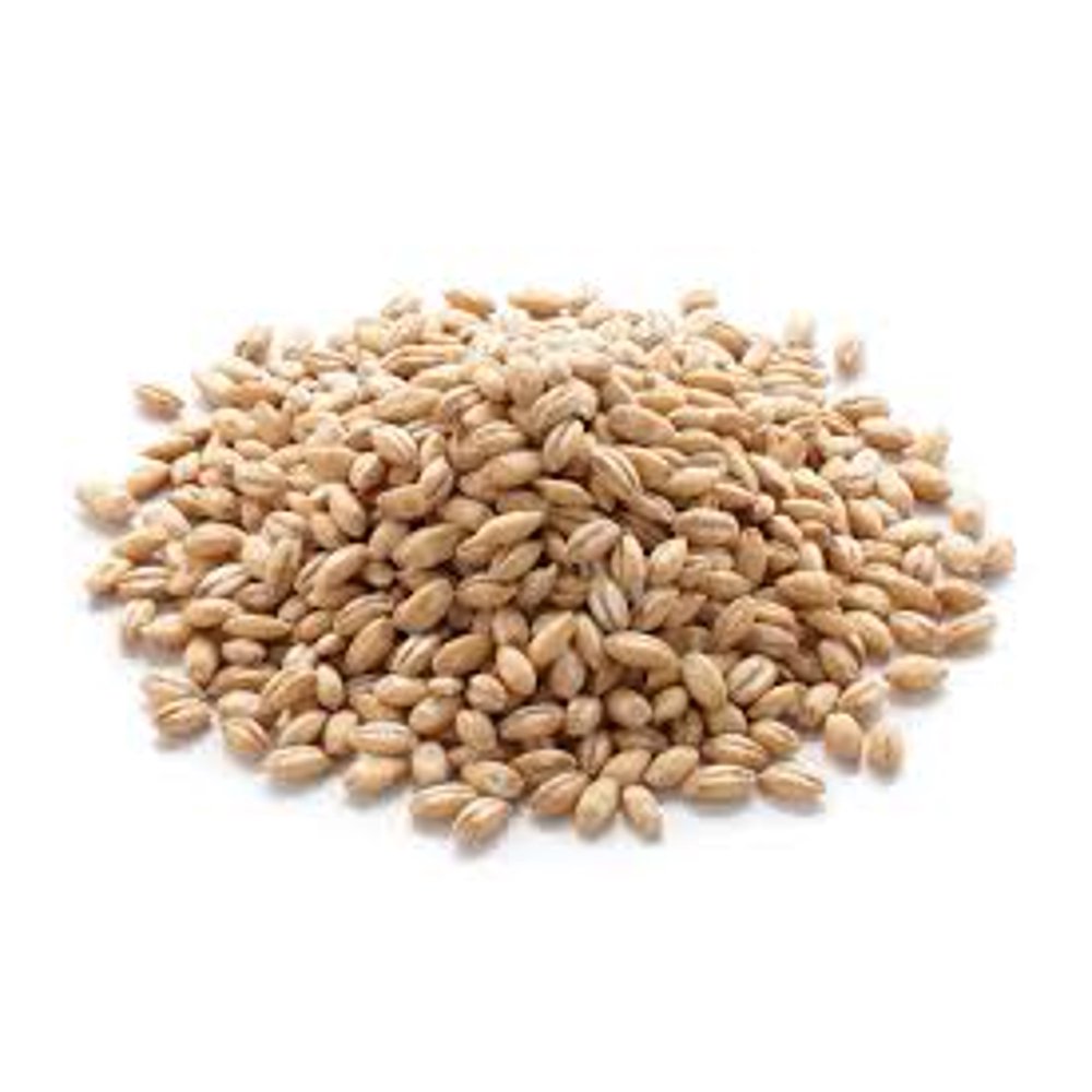 Hulled Barley 10 lbs (ten pounds) 100 USDA Certified Organic Walmart