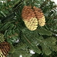 thumbnail image 5 of Vickerman 9' x 14" Emerald Mixed Fir Artificial Christmas Garland, Unlit, 5 of 6