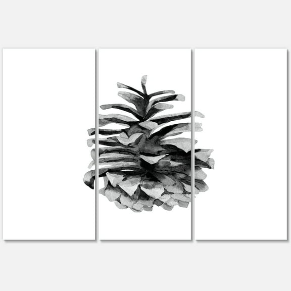 Designart ' Conifer Cone Black and White ' Traditional Canvas Wall Art Print