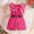 thumbnail image 5 of Infant Toddler Baby Girl Summer Clothes Bow Embroidery Short Sleeve T Shirts Top Shorts 2 Piece Summer Outfits Set Girls Summer Set 1-3 Years,9-12 Months, 5 of 9