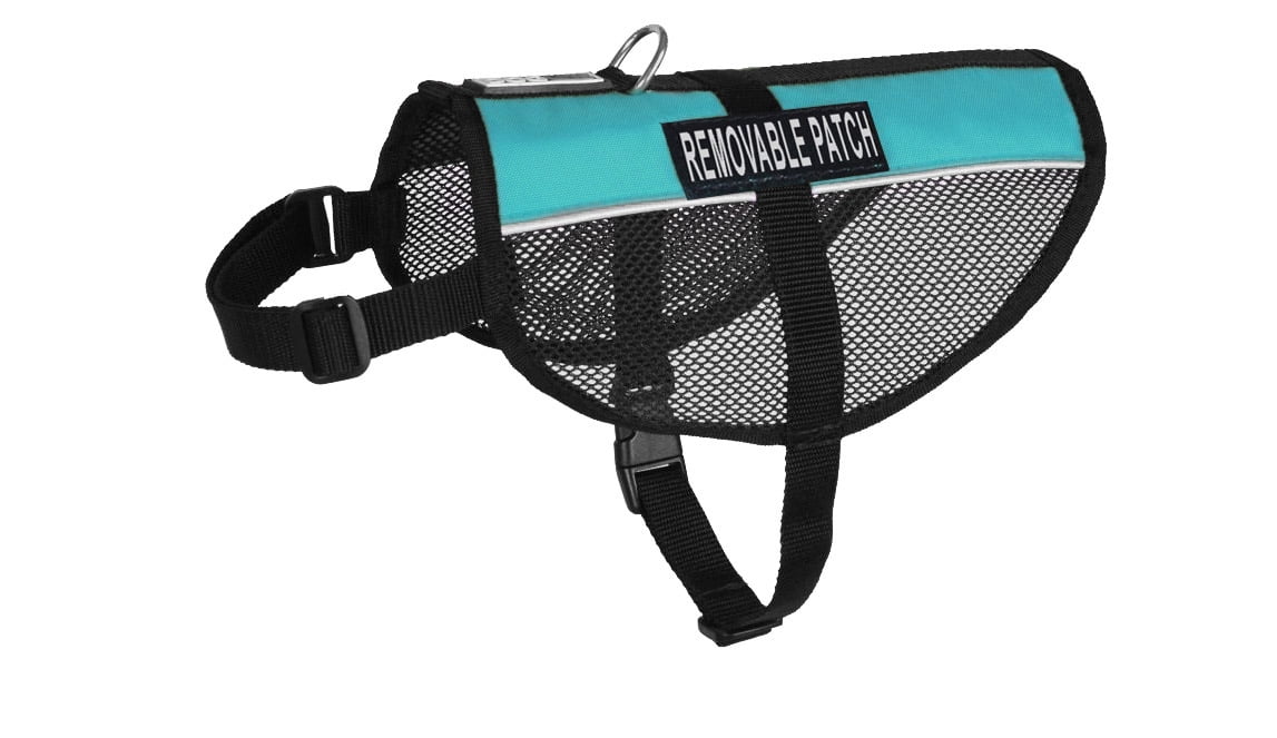 dog in training do not pet vest