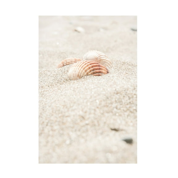 Trademark Fine Art Pictufy Studio III Beach 14 Canvas Wall Art