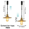 thumbnail image 3 of FSLiving Adjustable Height Track Pendnat Light J-Type Retractable Lift Track Spotlight with Telescoping Rod Adjustable Gimbaled Lamp-Post Juno Track DIY Retro Cover Lamp, Brass - 1 Light, 3 of 7