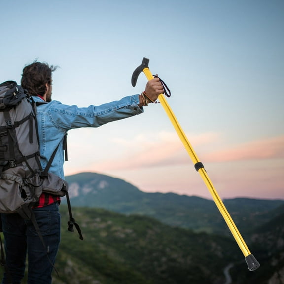 ELAYARD Adjustable Metal Walking Stick for Hiking, Aluminum, Multi-Color, 1 Pack, Height Adjustable Support Cane