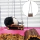 thumbnail image 4 of Hamaca Para Hámster, Suministros Molares Para Mascotas Hamaca Para Hámster De Madera, Otra Mascota Pequeña Segura Para Hámster Octpeak Pet Molar Supplies, 4 of 8