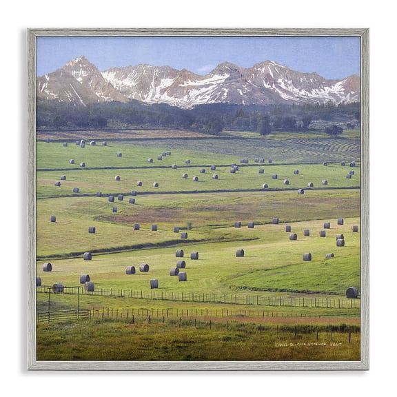 Stupell Industries Farmhouse Rural Hay Bales Farm Pasture Gray Framed Giclee Art, 12 x 12, by Chris Vest