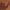 Brown, variant on XYX Tablet Case for Lenovo Tab M10 3rd Gen Case 10.1 inch, Butterfly Cat Slim Folio Stand Cover for Lenovo Tab M10 3rd Gen, Brown