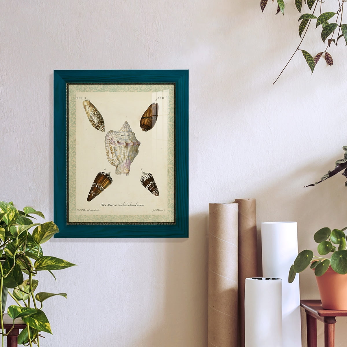 Bookplate Shells IV - Framed Print w/glass - Ocean Blue
