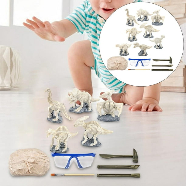 de excavación para , modelo de esqueleto de dinosaurio, juguetes de aprendizaje temprano para pequeños esqueletos de dinosaurios CUTICAT Juguetes de excavación