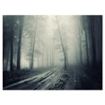 thumbnail image 2 of Spooky Dark Forest with Fog - Landscape Photography Canvas Print, 2 of 3