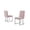 Pink Velvet, variant on Simplistic Pink Velvet Side Chairs with Silver Chrome Base (Set of 2)