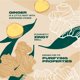thumbnail image 4 of Acondicionador The Body Shop Ginger Scalp Care 250 ml, vegano, 4 of 7