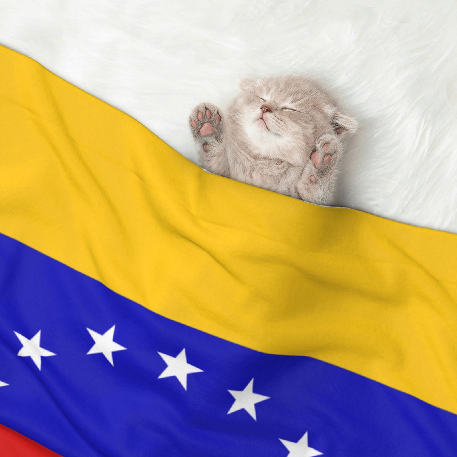 Flannel Throw Dog Blanket Venezuela Flag Soft Warm Print Pet Blankets for Small Dog Cat Puppy