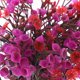 thumbnail image 4 of 2 piezas de plantas artificiales en maceta, plantas artificiales en maceta, decoración de plantas artificiales en maceta, bonsái falso, 4 of 5