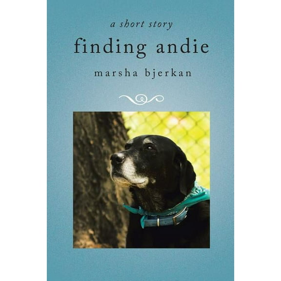 finding andie (Paperback)