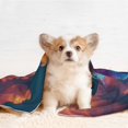 thumbnail image 4 of Naloa Starry Sky White Cloud Puppy Dog Blanket, 3 Sizes Cat Blanket for Indoor Cats Large Medium Small Dog Gifts-Small, 4 of 8