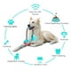 thumbnail image 3 of Juguete de silicona con ventosa para perro, Bola de empuje para masticar, Limpieza de dientes, cepillo de dientes para cachorro, mordedura grande, 3 of 4