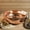 Pure Copper, variant on Hand Hammered 100% Pure Copper Pedicure Bowl – Handmade Foot Soak Detox Manicure Basin for Spa, Salon & Home | Luxury Copper Foot Bath for Soaking & Relaxation