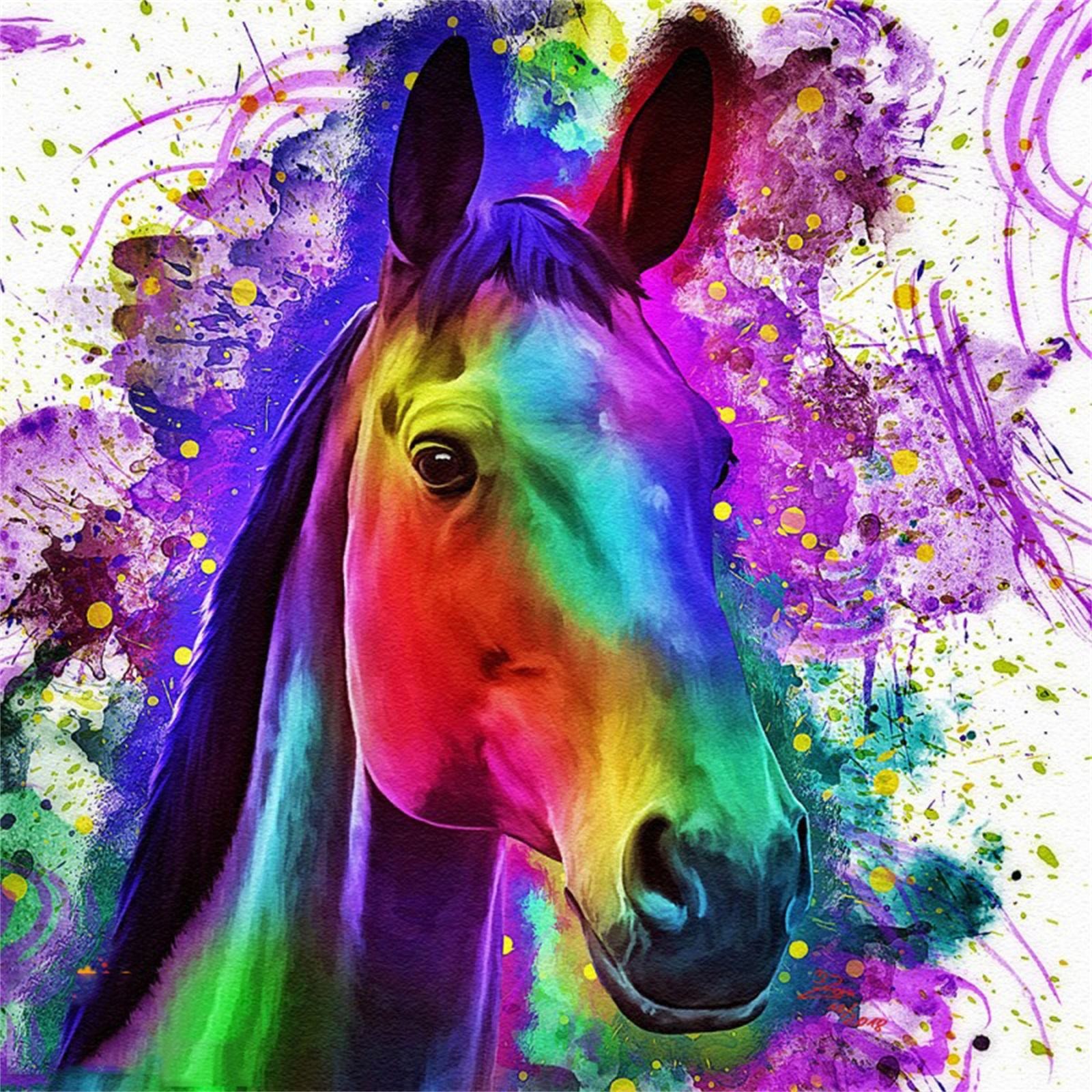 Paint by Number for Adults Colorful Horse Beauty DIY Arts and Crafts