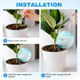 thumbnail image 4 of Uxcell 3-Pack Plant Self Watering Globes, 5.3 oz Bubble Water Bulbs for Indoor Plants, Self Watering Spikes [Azul], 4 of 6