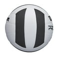 Wilson Pro Tour Indoor Volleyball, Black/White