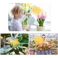 thumbnail image 5 of Plant Light, Grow Lights Auto On/Off Timer - 3/6/12H On/Off, 156 LED Sun-Like Full Spectrum Grow Light, Planting Lamp for Indoor Plants, Hydroponic Plants, Hydroponic System, Hydroponic System, 5 of 5