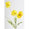 thumbnail image 3 of 24" Faux Yellow Poppy Stem, 3 of 6