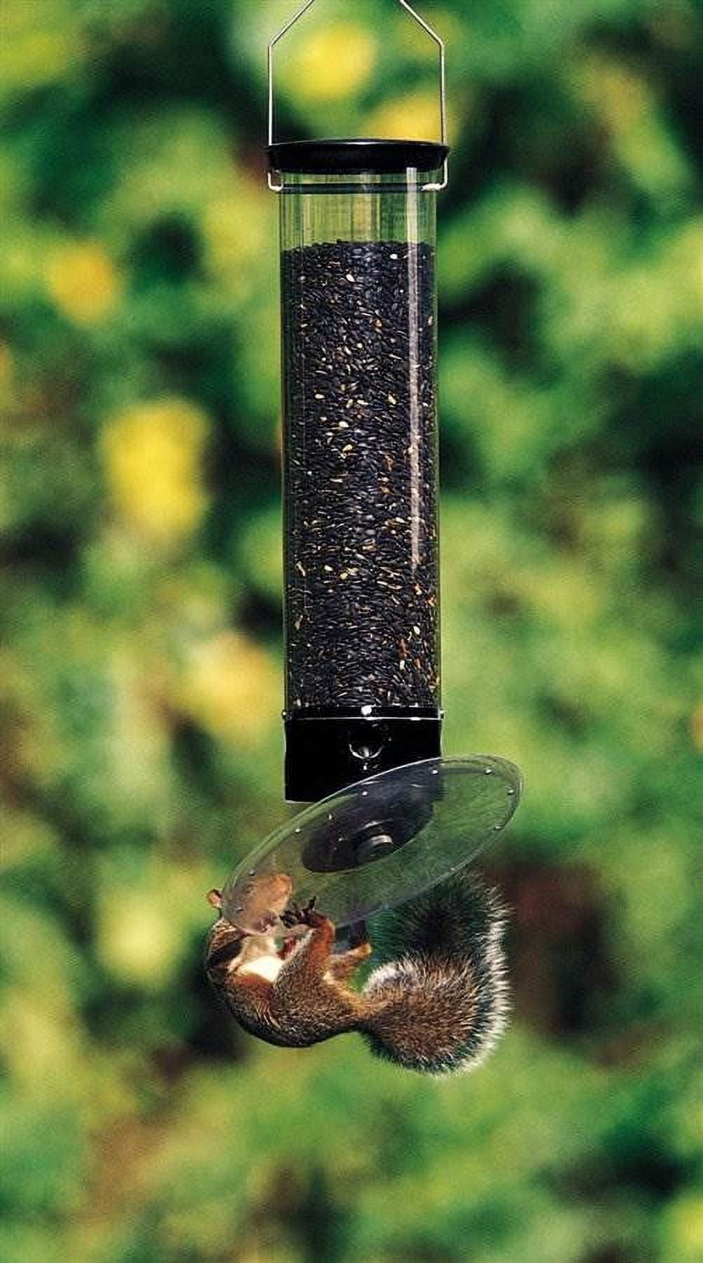 Droll Yankees Tipper Wild Bird 5 lb. Polycarbonate Tube Bird Feeder 4 ports