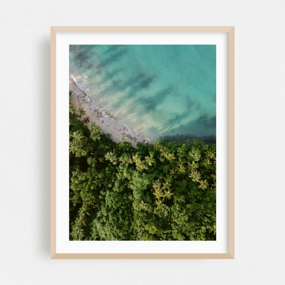 Aerial Paradise - Las Terrenas Travel Photography - Las Terrenas Samaná Province Dominican Republic Photography Tropical Beach Palm Tree Coast Ocean Nature Oak Framed Wall Art Print 9 x 12 inches