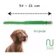 thumbnail image 3 of Collar Premium Para Perros 100% Piel Varios Colores, 3 of 8